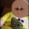 rubymayes981